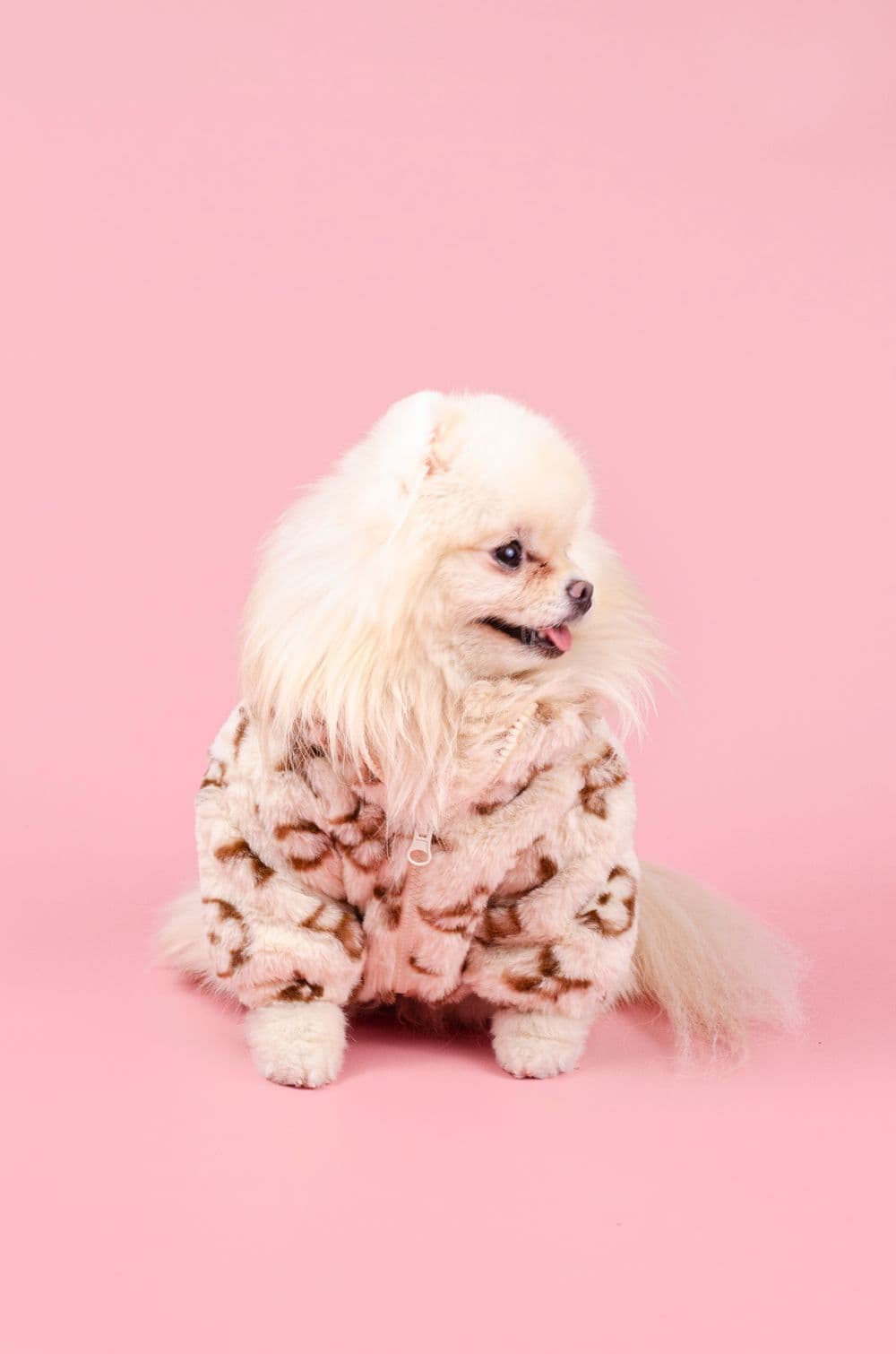 Куртка для собак Луи Витон S